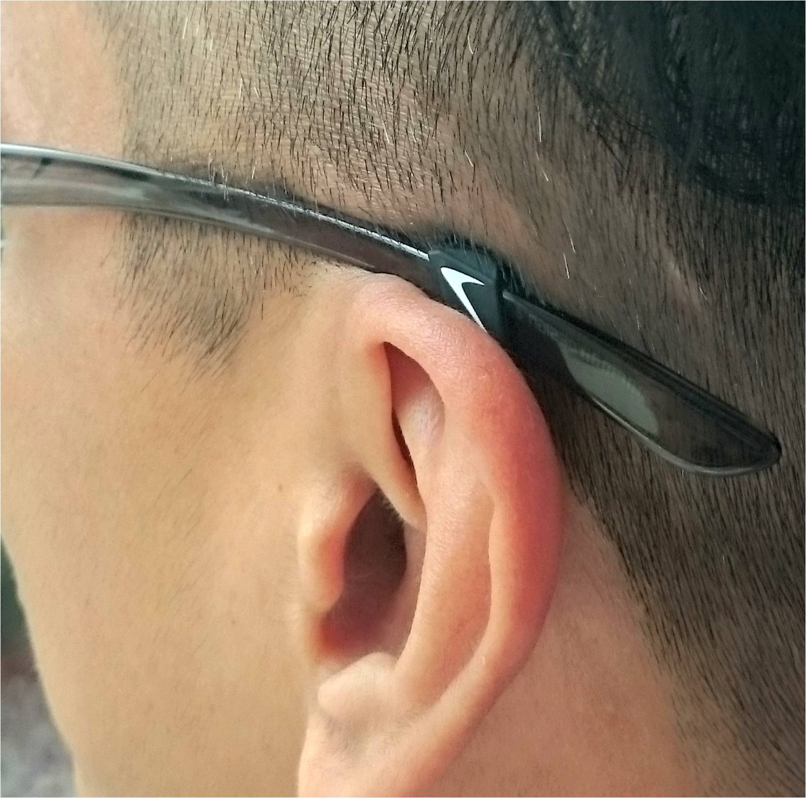 spectacle hook