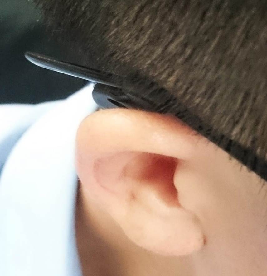spectacle hook